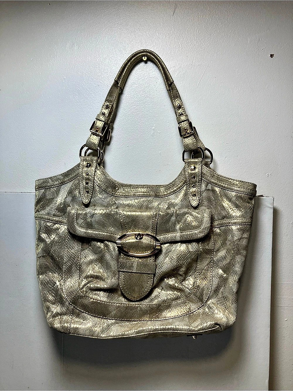 R&Y ORLANDO Metallic Leather Tote in Gold & Silver